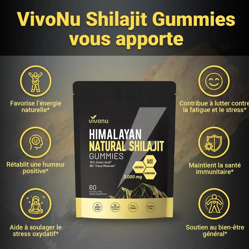 Gommes Énergétiques Shilajit de l'Himalaya ML