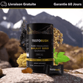 Gommes Shilajit de l’Himalaya BN