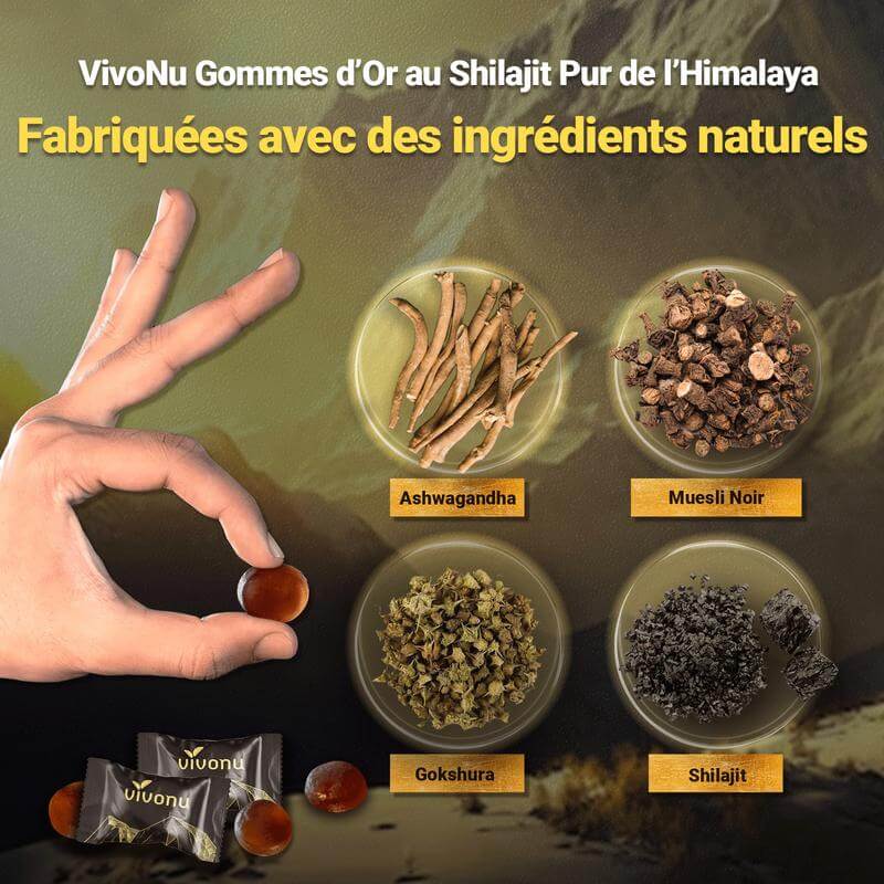Gommes Énergétiques Shilajit de l'Himalaya ML