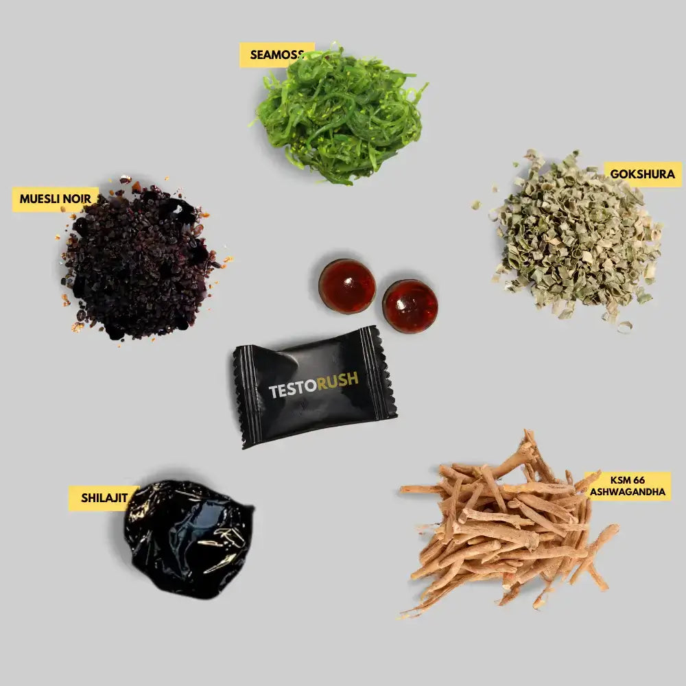 Gommes Shilajit de l’Himalaya BN